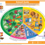 Supplements for a Balanced Diet: The Ultimate Guide