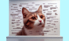 Cat Meme Tips for Achieving Feline Internet Stardom