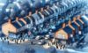 House Clearance Costs: Essential Negotiation Tips for the UK
