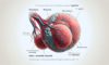 Testicular Cancer Self-Exams: Essential Detection Tips