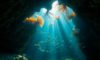 Belize Diving Adventures: Discover Underwater Wonders