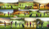 Golf Lessons in South Africa: A Complete Overview