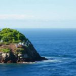 Belize Bird Island: Essential Travel Tips for Explorers