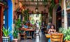 Unique Flavours in San Miguel de Allende Cafes