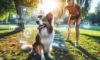 Trick Training for Dogs: Engaging Methods for Smart Pets