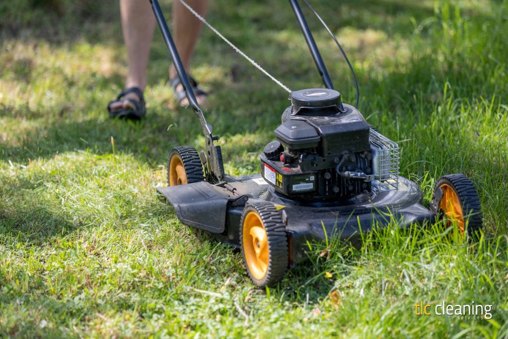 Grass Cutting Services for Yeovil: Essential Tips and Advice