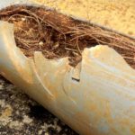 Pipe Relining Solutions for Tree Root Issues in Drains