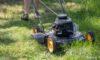 Grass Cutting Services: Expert Tips for Ilchester Gardens