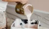 Exterior Paint Jobs: Tips to Thrive in Sydney’s Humidity