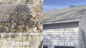 Enhance Your Home's Longevity with the Essential Technique of Soft Washing