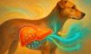 Liver Health Monitoring for Dogs: Key Care Tips
