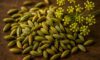 Fennel Seed Recipes for Authentic Italian and Indian Dishes