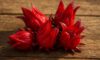 Hibiscus Flowers: Creative Culinary Tips and Tricks