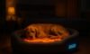 Temperature-Controlled Beds for Pets: Comfort Guide