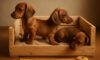 Puppy Comfort: Tips for a Snug Crate Setup