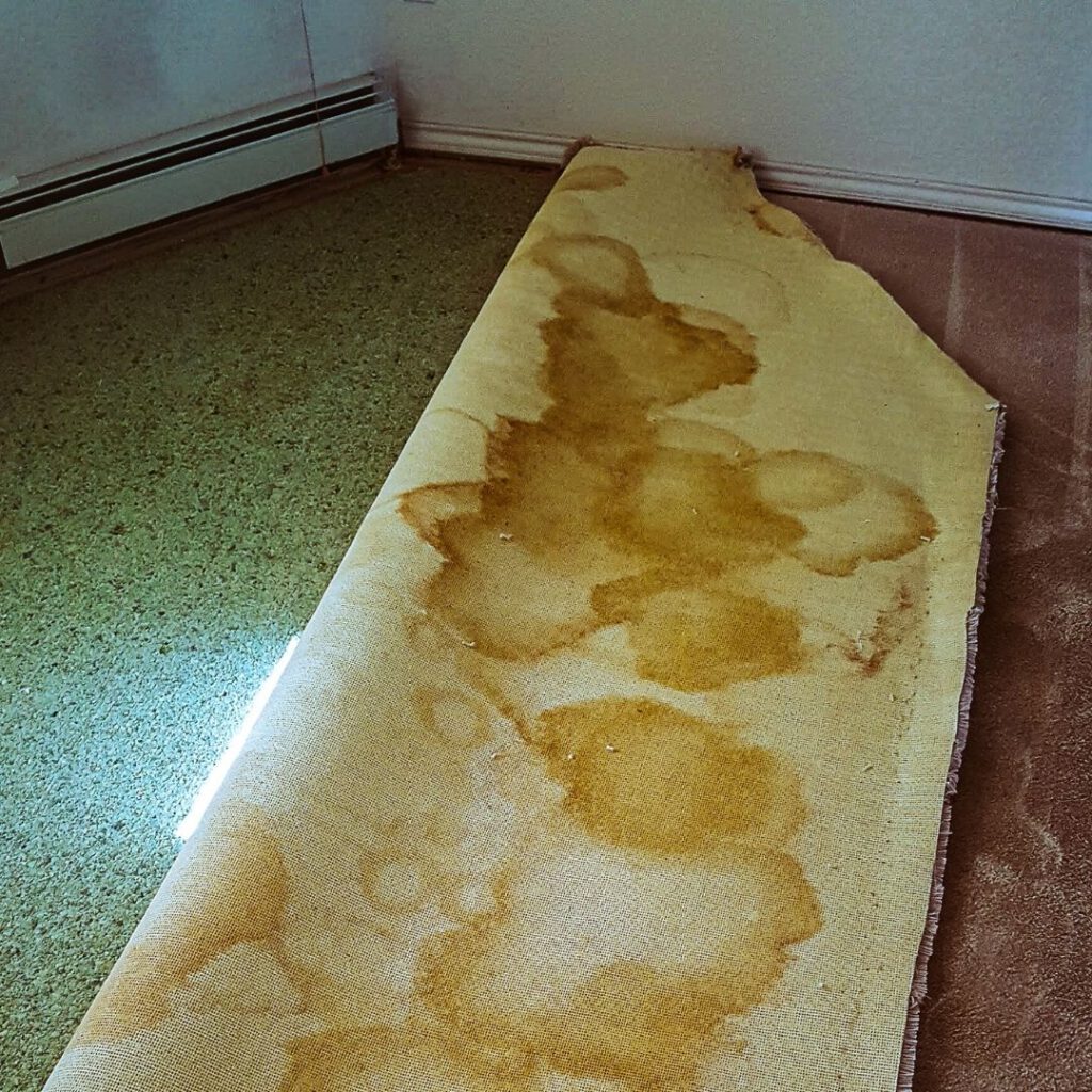 Carpet and Underlay Disposal Simplified in Sydney